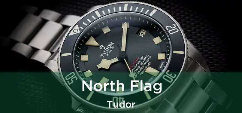  North Flag Tudor
